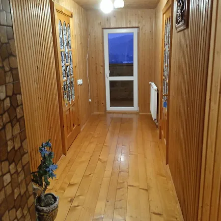 на долоні * Mykulytschyn