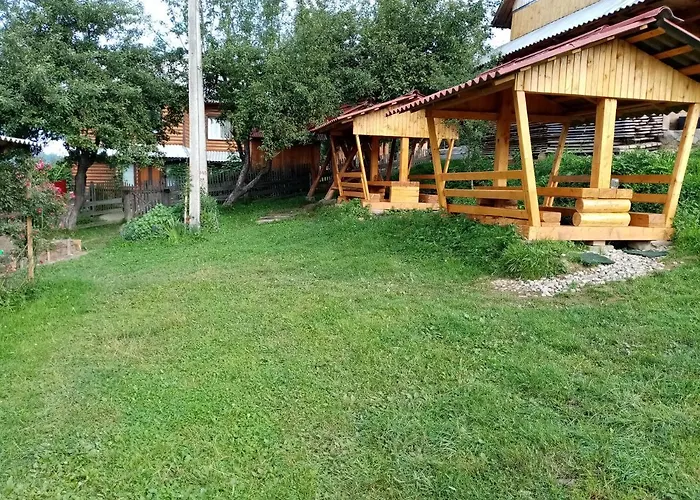на долоні * ميكوليتشن
